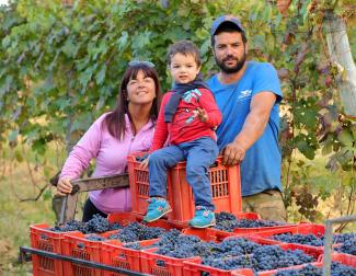 Cantina Rocca Giovanni