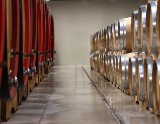 Cantina Rocca Giovanni a Monforte d'Alba nelle Langhe